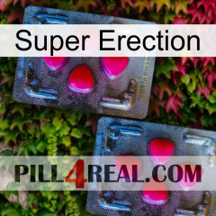 Super Erection 14